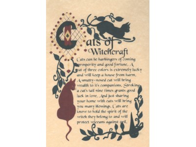 Cats of Witchcraft Poster NEW